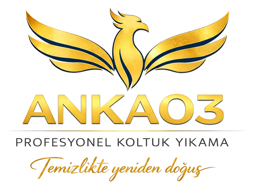 Diyarbakır koltuk yıkama